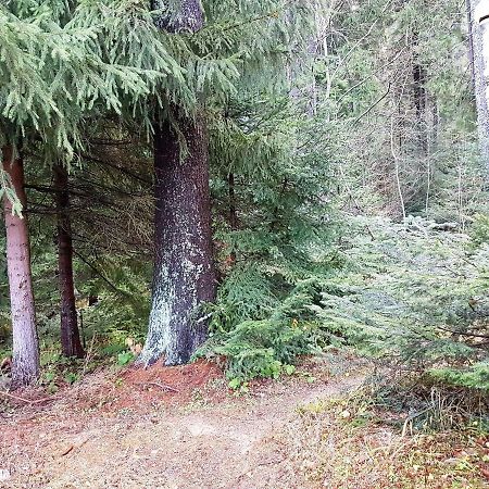 Chalet Taffski Borovets Luaran gambar
