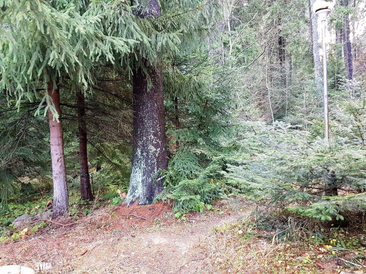 Chalet Taffski Borovets Luaran gambar